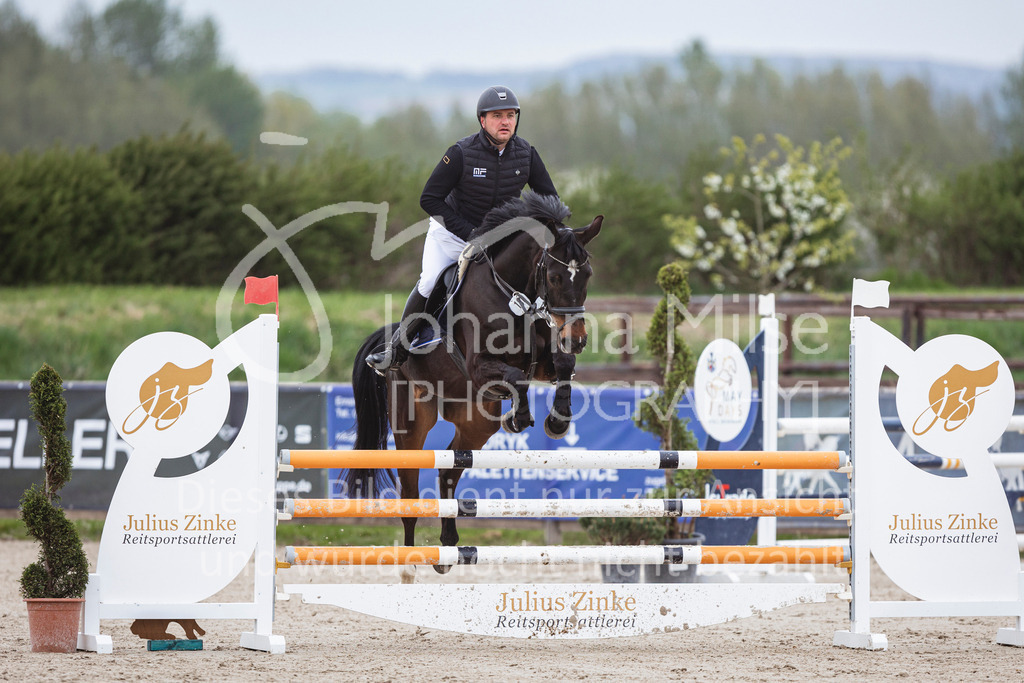 250417_Springpferde-L1-261 | Deine schönsten Turniermomente als professionelle Fotos! Entdecke hochwertige Pferdesport-Fotografie im Online-Shop. Jetzt Fotos finden & bestellen!