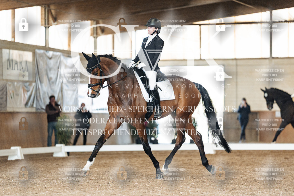 CK901781 | Turnierfotografie Pferdefotografie Trier Rheinland-Pfalz Pferdesport Reitsport Tierfotografie Sportfotografie Pferdevideo Pferdevideografie Equestrianvideography equestrianphotography  - Realisiert mit Pictrs.com