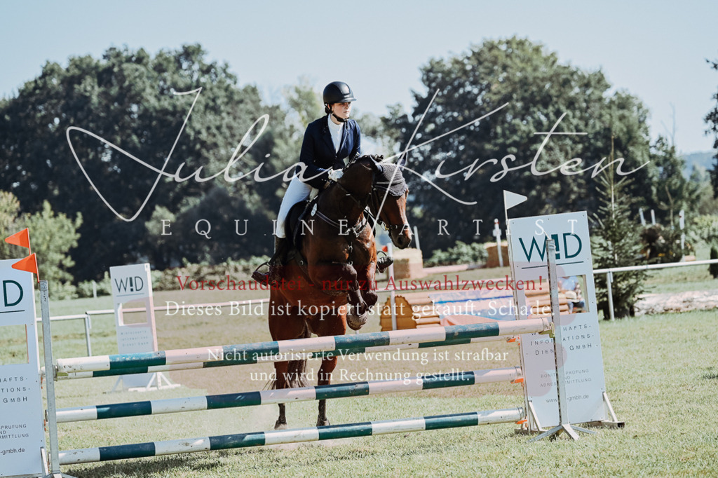 DSC_5864 | Pferde- und Turnierfotografie in Westsachsen. Pferdeportraits, Auftragszeichnungen und intuitive Kunst.
