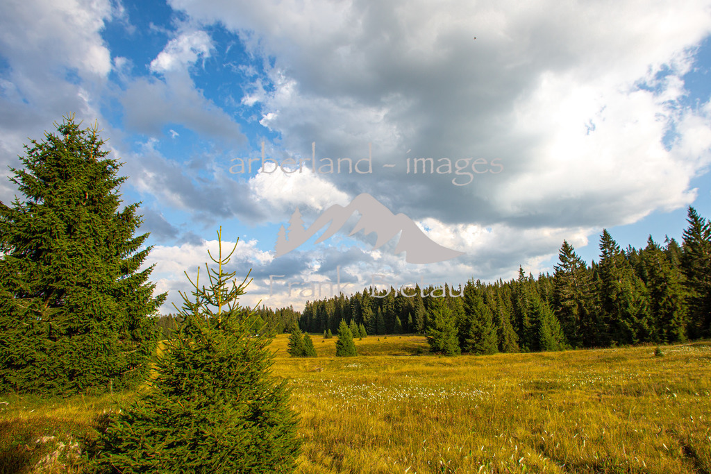 _Z5A0284 | Medien- Sport- Entertainmentfotos