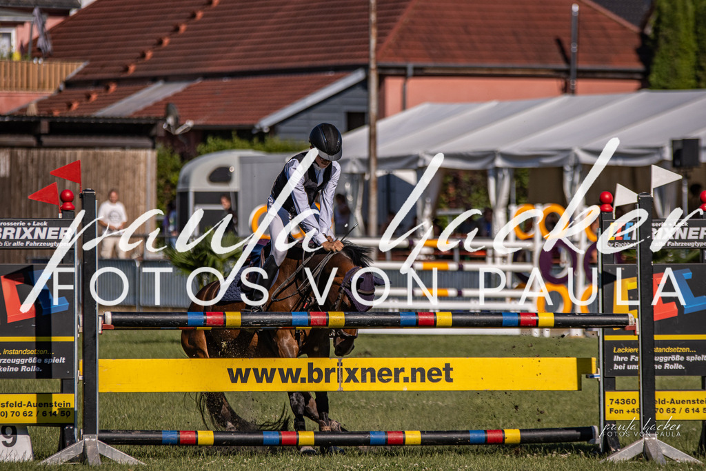 IMG_9884 | Erleben Sie dynamische Sport- und emotionale Tierfotografie in Süddeutschland mit Fotos von Paula. Spezialisiert auf Pferde- und Hundefotografie sowie Sportevents. Kontaktieren Sie mich für einzigartige und ausdrucksstarke Bilder Ihrer besonderen Momente. - Realisiert mit Pictrs.com
