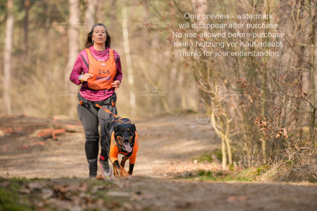 LangeCross_So-390 | stephaniefillaphotographie - Realisiert mit Pictrs.com