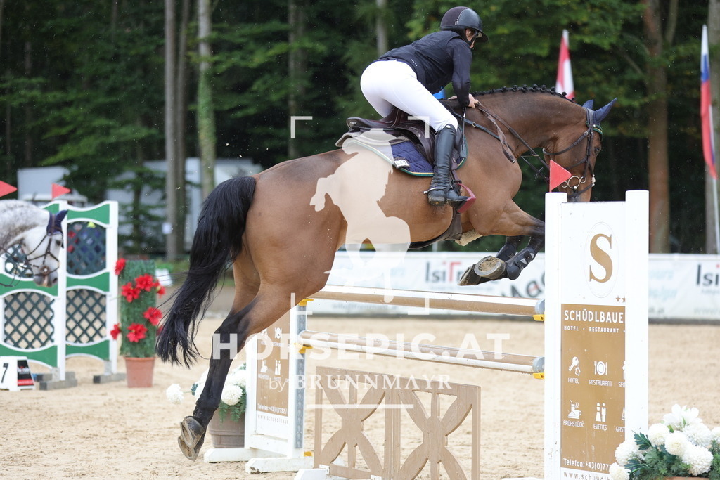 0P6A8315 | Willkommen bei Brunnmayr - Design & Fotografie – Ihrem Spezialisten für Reitturniere und Pferdeveranstaltungen in Oberösterreich, Salzburg und Bayern! Seit über 17 Jahren sind wir leidenschaftlich dabei.