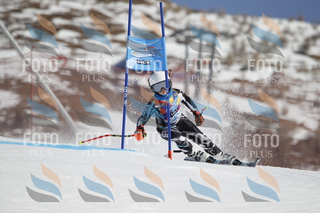 _U3G9217 | holidayphoto