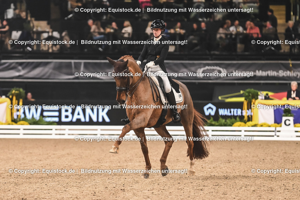 20241116_Dressur-Kür_TOMsPiC_0176 | Foto: Thomas Hartig