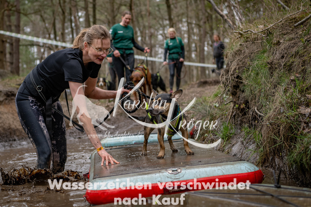 1225DSC_6247-2 | kk-dogfotos