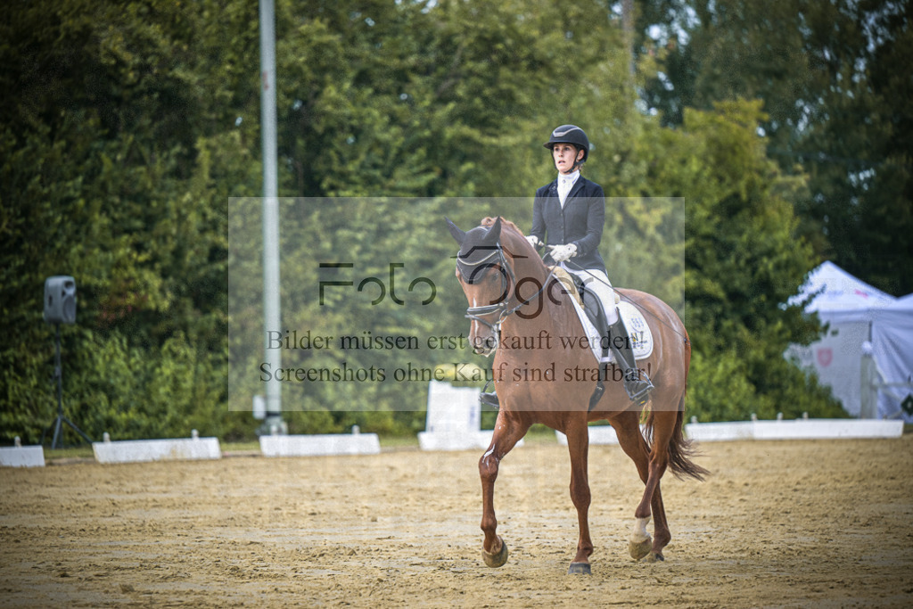 DOS_9258 | Entdecke hochwertige Reitturnierfotos von Foto Oger. Professionell, emotional und authentisch – jetzt Lieblingsmomente im Shop bestellen.Deutschlandweite Turnierfotografie. - Realisiert mit Pictrs.com