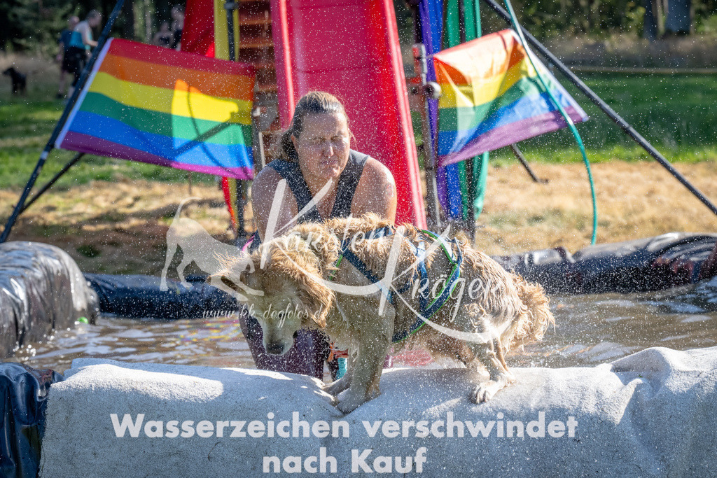 1641_ZZ90876 | kk-dogfotos