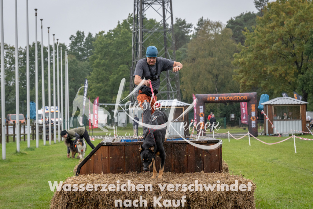 1333-93944 | kk-dogfotos