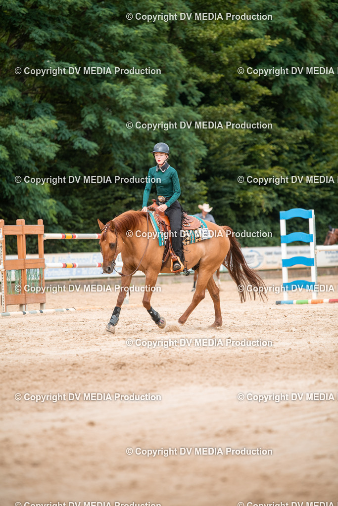 ZS2_8499 | dv-media-shop - Realisiert mit Pictrs.com