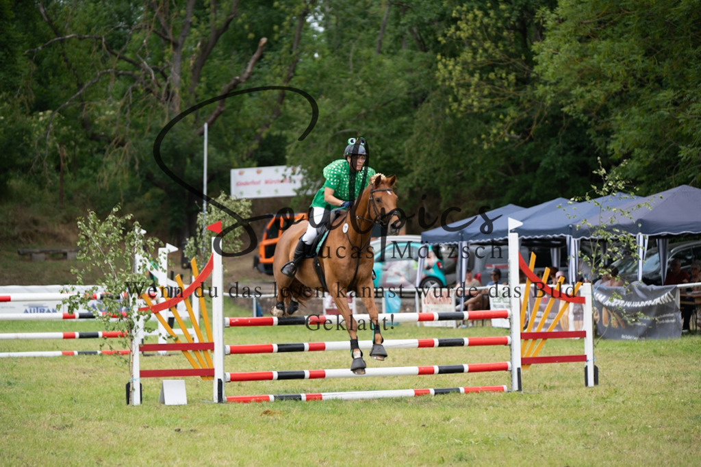 A7V07072 | Pferdefotograf