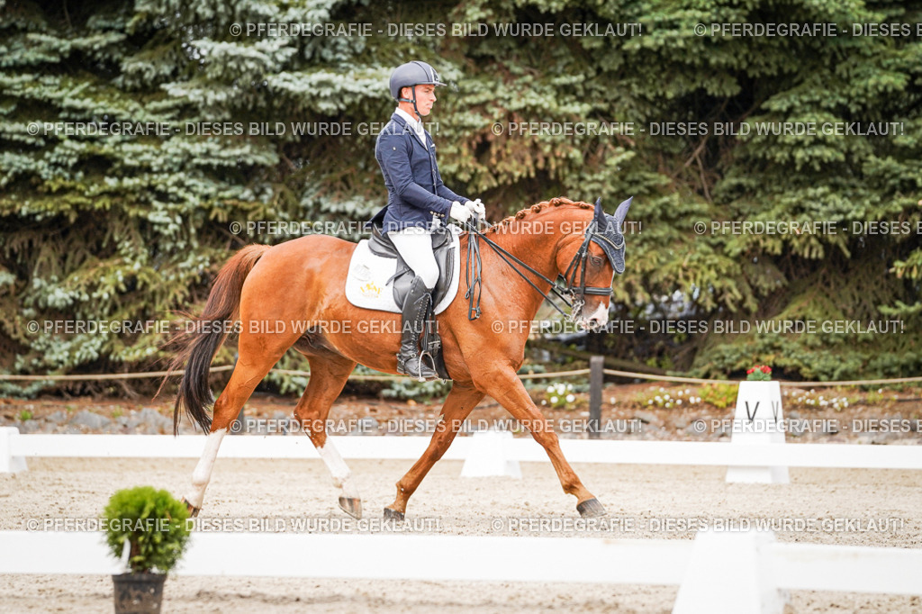 DSC07004 | Pferdegrafie