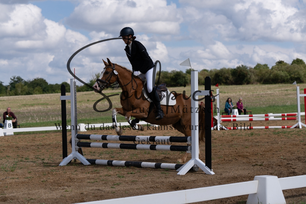 A7V03236 | Pferdefotograf