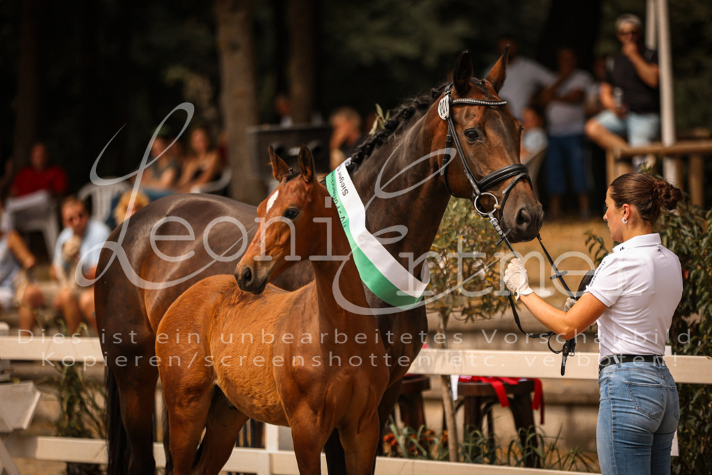 SaPA00018 | Leoni Ertmer Photography - Realisiert mit Pictrs.com