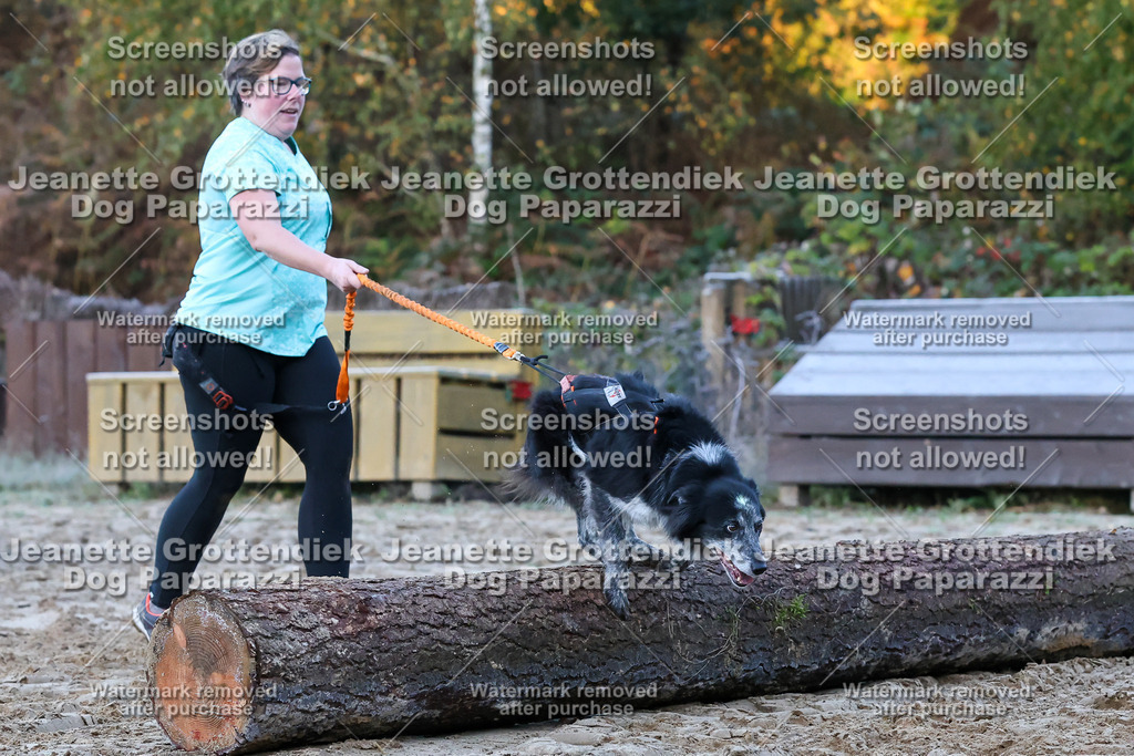 Dog Paparazzi - Strongdog 10-25-225 | Dog Paparazzi Jeanette Grottendiek Fotografie & Videografie - Realisiert mit Pictrs.com