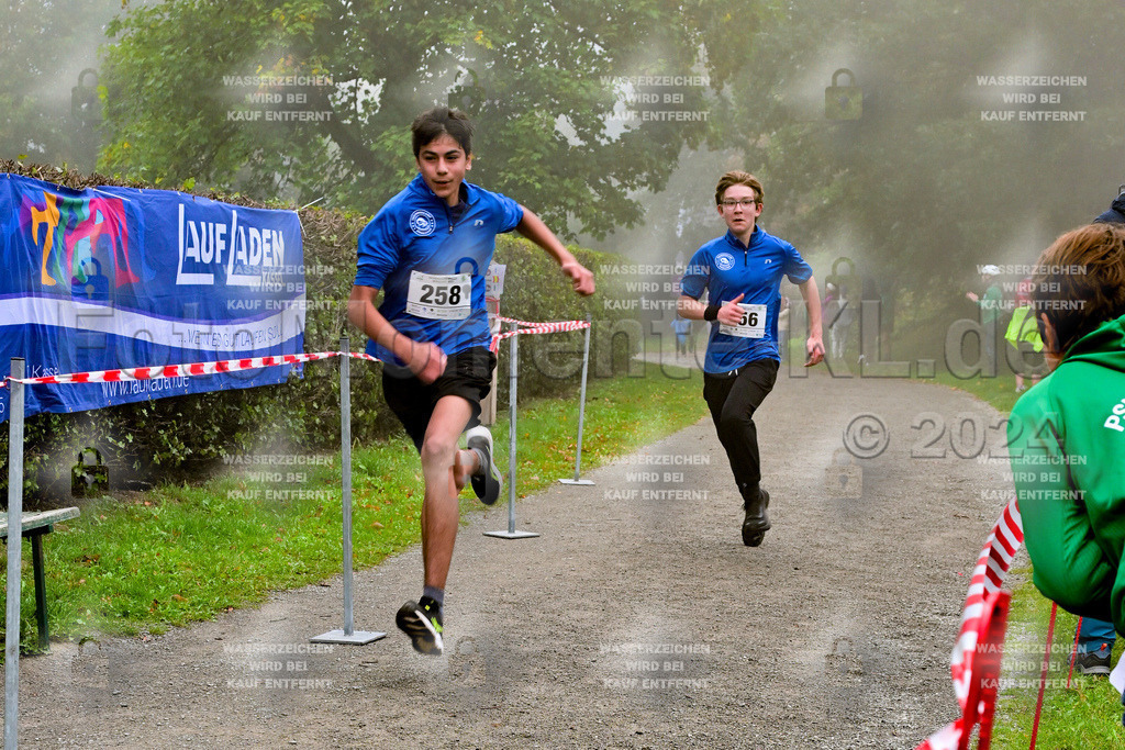 Z8N_2135 | la-psv - Realisiert mit Pictrs.com