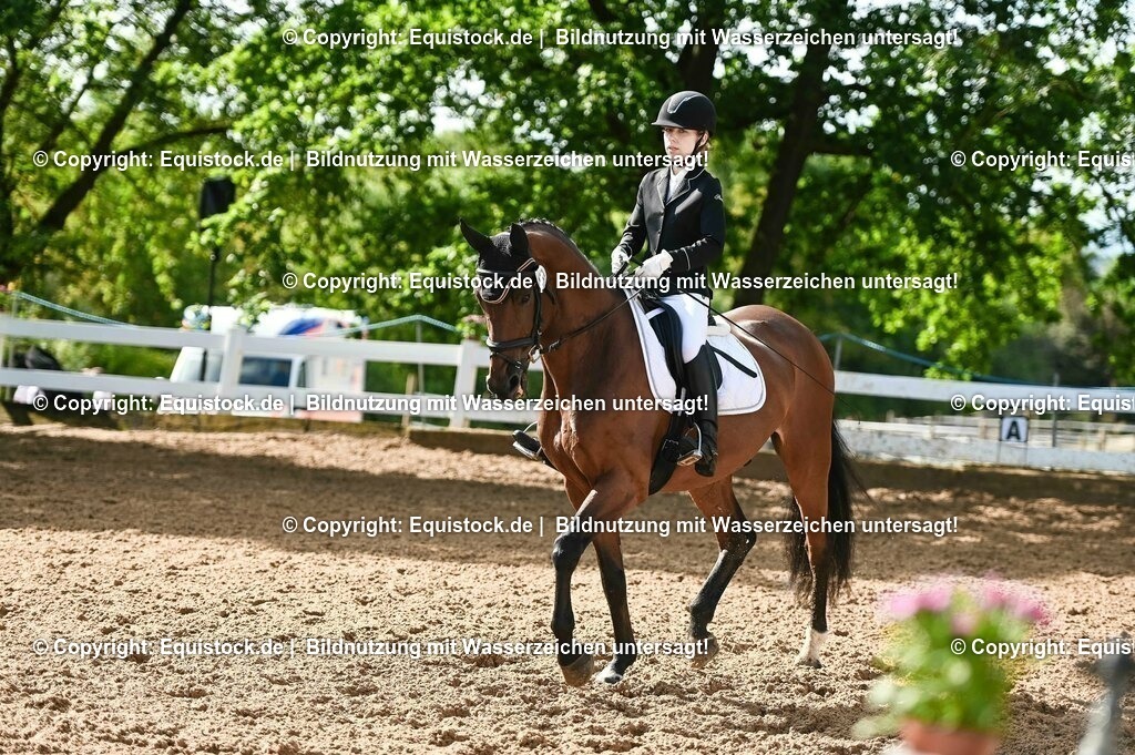 20230716_04_Dressurreiterprüfung Kl.A_0203 | equistock