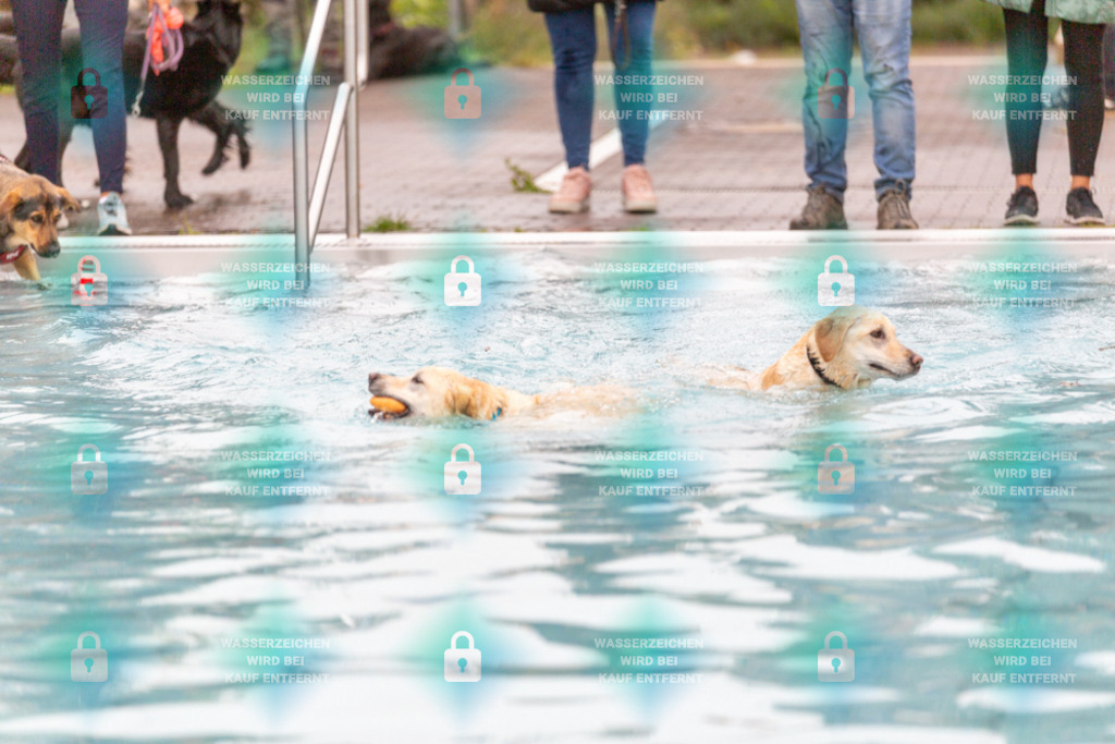 _HP_7166_1000o | HetPix, HetPix Fotodesign, Fotografie, Fotodesign, Webshop, Sportfotografie, Portraitfotografie, Onlineshop, Sportfotografie, Polch, Motorsportfotografie, Eventfotografie