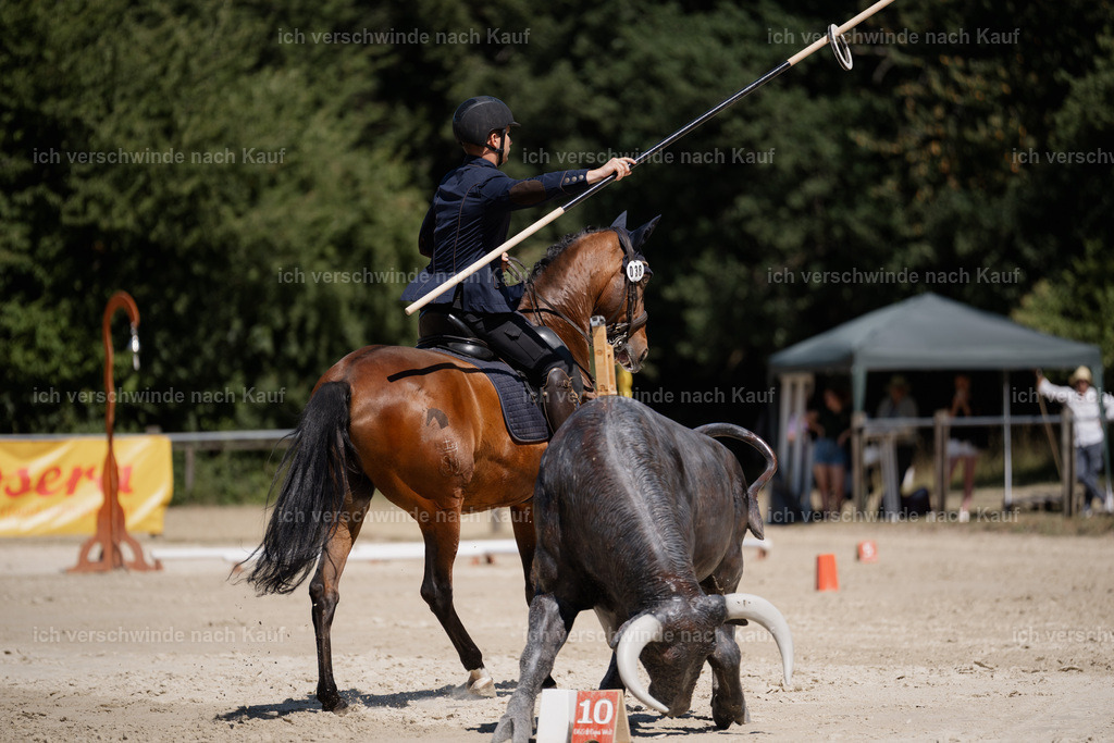 WS_ST_38_stoibphotography_SO11341 | working equitationturnier fotograf videograf stoibphotography marixx film working equitation deutschland reitsport turnierfotografie eventfotografie equestrian events