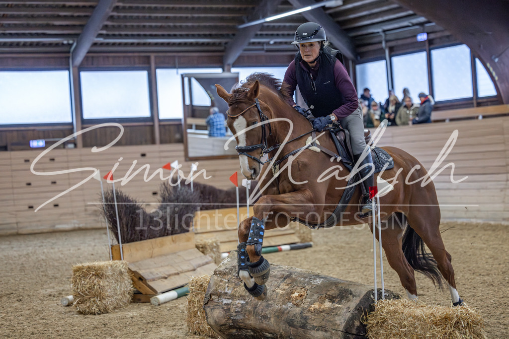 20260221-_3LI8516 | Tierfotografie Pferde, Hunde, Katzen, Haustiere.
Turnierfotografie Reitturniere, Reiten, Springreiten, Dressur in Hanau, dem Main-Kinzig-Kreis und dem Rhein-Main- Gebiet um Frankfurt