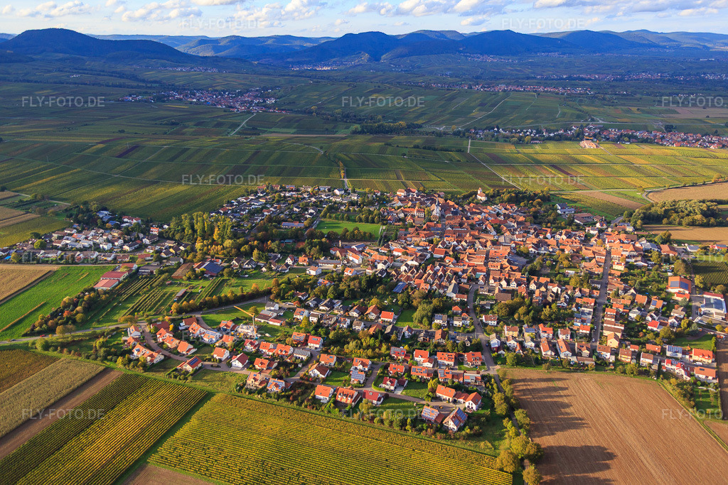 Luftbild: Ortsansicht zwischen herbstlichen Weinbergen aus Südosten im Ortsteil Mörzheim in Landau im Bundesland Rheinland-Pfalz in Deutschland. Foto: IMG_074611.jpg vom 14.10.2014 durch Werner Riehm/FLY-FOTO.de