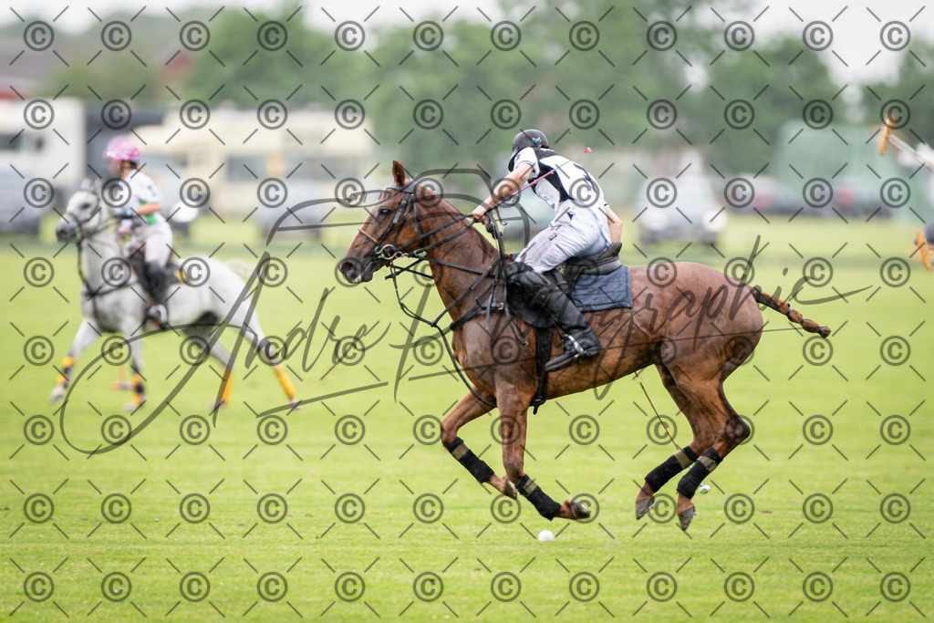 POL_2699 | andre_photographic