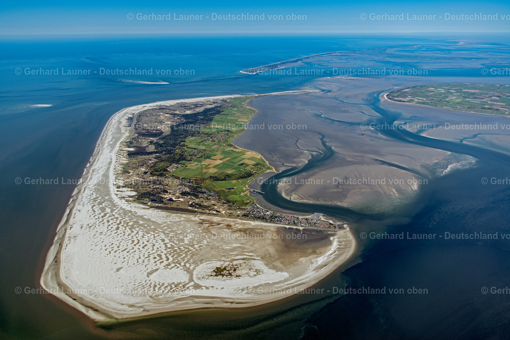 3801694 | Amrum, Nationalpark Schleswig-Holsteinisches Wattenmeer