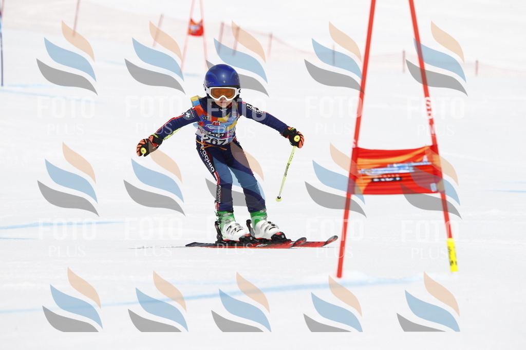 _U3G6697 | holidayphoto