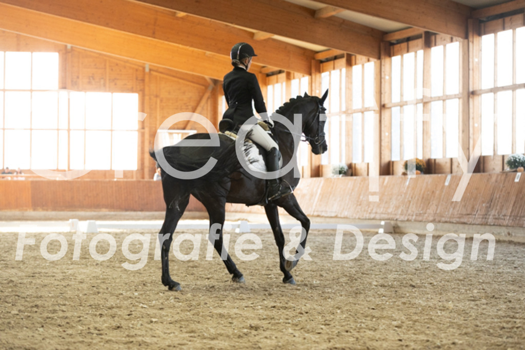 IMG_3514 | Creatify Fotografie