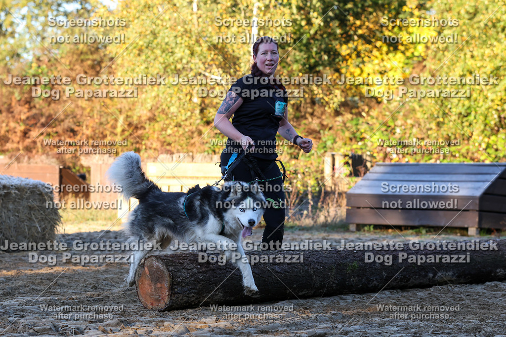 Dog Paparazzi - Strongdog 10-25-673 | Dog Paparazzi Jeanette Grottendiek Fotografie & Videografie - Realisiert mit Pictrs.com