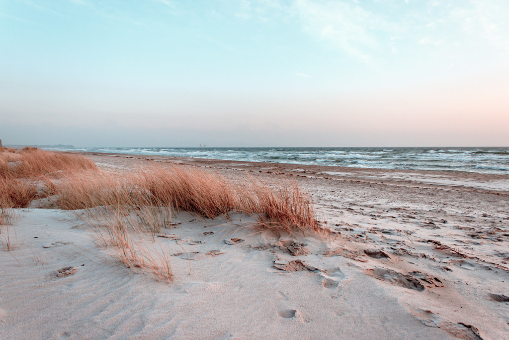 Wandbild: Strandhafer am Sandstrand  | Dieses Wandbild im Querformat zeigt einen winterlichen Sandstrand in pastellartigen Farben. Der Himmel leuchtet von hellblau zu einem orangerot. Am Sandstrand ist im Vordergrund auf einer kleinen Sanddüne Strandhafer zu sehen. Sie möchten Ihre Wände dezent aber stilvoll und elegant dekorieren? Dann holen Sie sich dieses maritime Wandbild in dezenten Farben. Dieses Wandbild ist auf Leinwand, Aluminium-Platte, Acrylglas oder als Holzdruck erhältlich. Die Wandbilder werden individuell für Sie in vielen Abmessungen produziert. Daher passen die Ostseekult Wandbilder immer perfekt an Ihre Wände. - Realisiert mit Pictrs.com