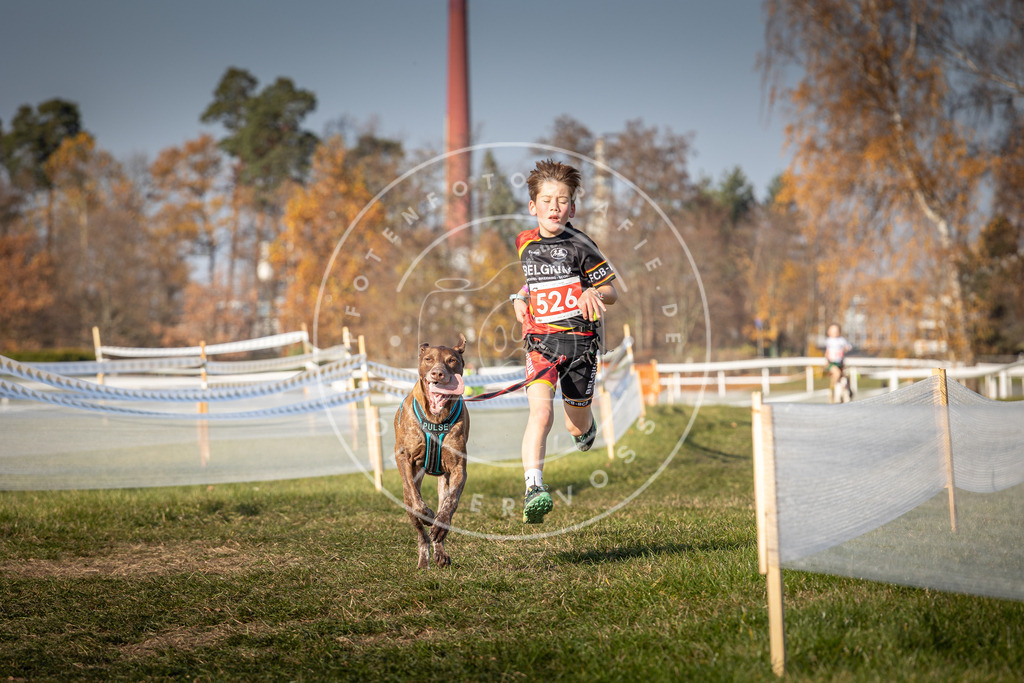 CaniXpix_0L8A8836 | Hundefotografie, Tierfotograf, Pfotenfotografie, Fotoshooting Hund, Hunde Portrait, Hundesport, Hundeportraits, Heideshooting, Hunde, Sportfotograf, Hundefotograf, Turnierhundsport, THS,  - Realisiert mit Pictrs.com