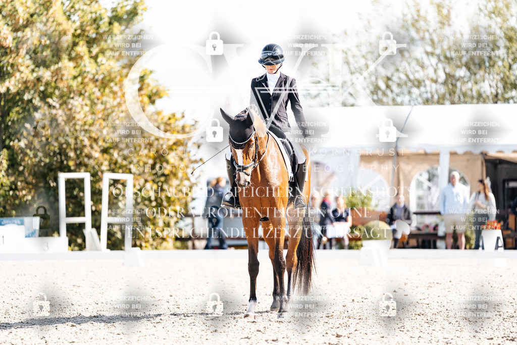 CK902265 | Turnierfotografie Pferdefotografie Trier Rheinland-Pfalz Pferdesport Reitsport Tierfotografie Sportfotografie Pferdevideo Pferdevideografie Equestrianvideography equestrianphotography  - Realisiert mit Pictrs.com