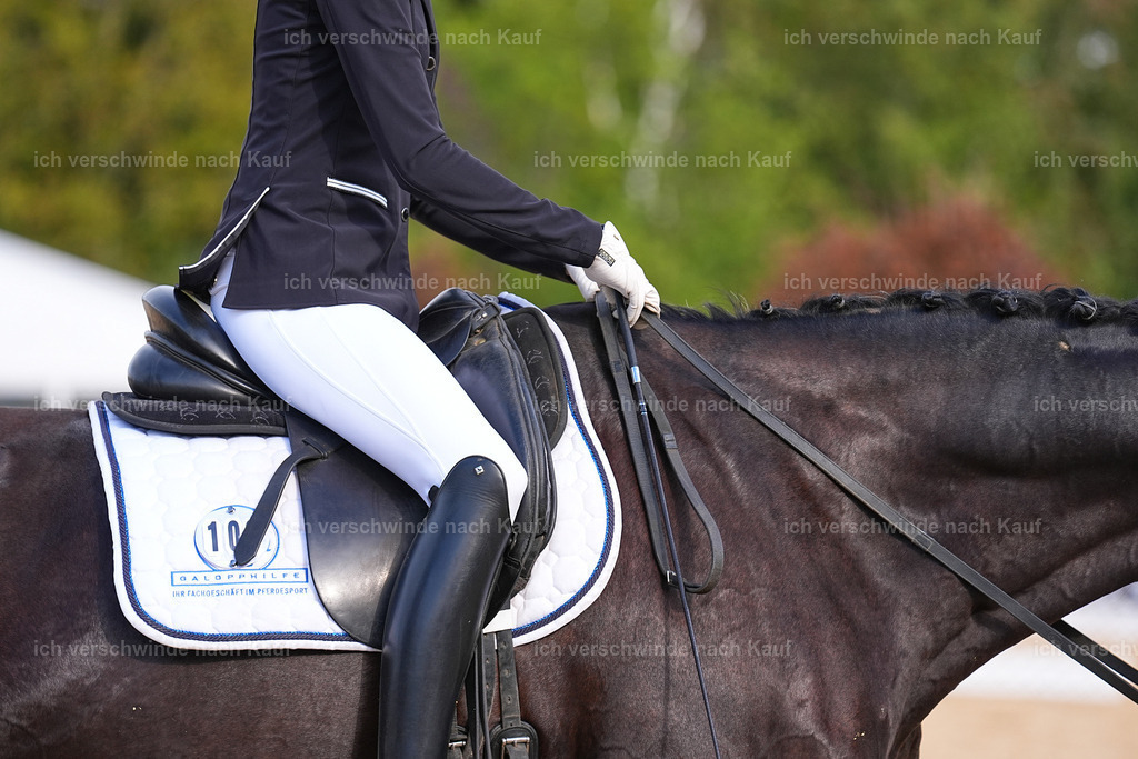 02-108-DRESSUR L_  -Marixx-4833 | working equitationturnier fotograf videograf stoibphotography marixx film working equitation deutschland reitsport turnierfotografie eventfotografie equestrian events