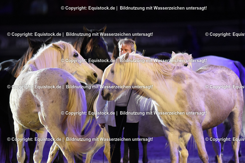 20231115_Show-Jean-Francois-Pignon_0150_TOMsPiC | Foto: Thomas Hartig