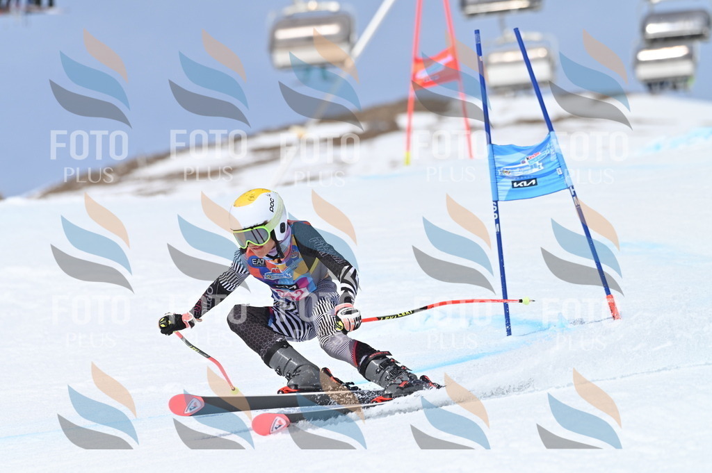 BGV_3488 | holidayphoto