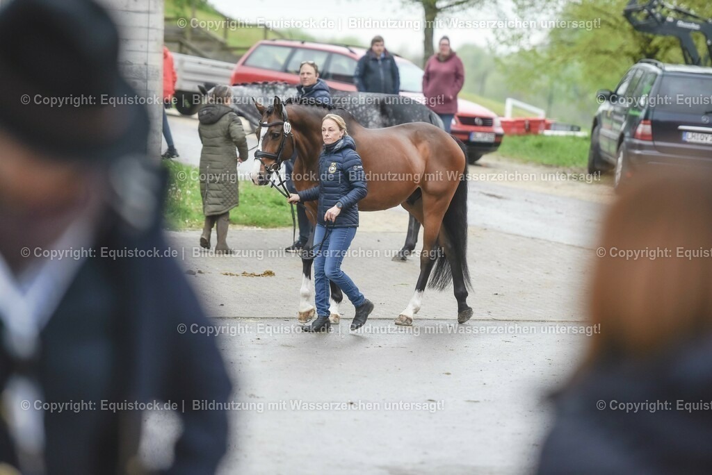20230514_Impressionen_0148 | equistock