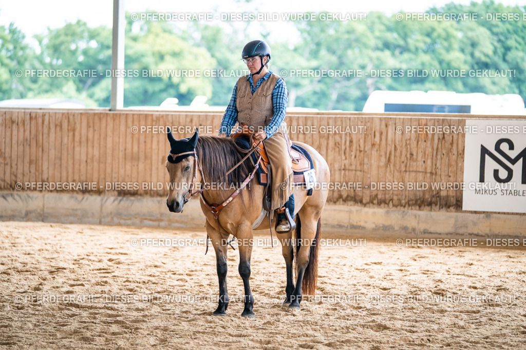 DSC08151 | Pferdegrafie