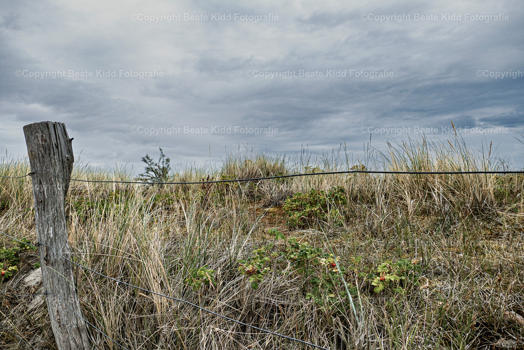 P1800364 | beatekidd-fotografie - Realisiert mit Pictrs.com