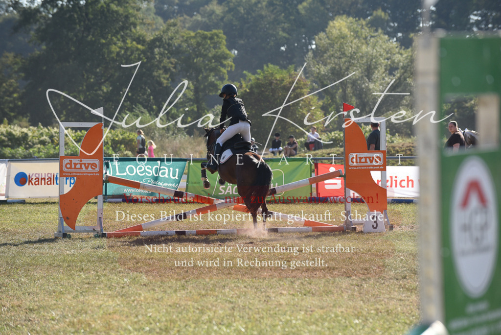 DSC_5767 | Pferde- und Turnierfotografie in Westsachsen. Pferdeportraits, Auftragszeichnungen und intuitive Kunst.