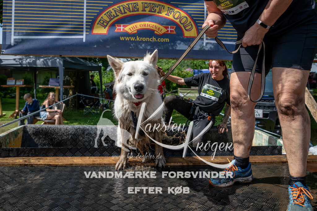1100_ZZ92311 | kk-dogfotos