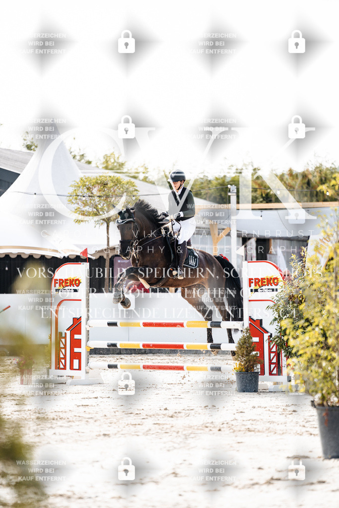 CK905531 | Turnierfotografie Pferdefotografie Trier Rheinland-Pfalz Pferdesport Reitsport Tierfotografie Sportfotografie Pferdevideo Pferdevideografie Equestrianvideography equestrianphotography  - Realisiert mit Pictrs.com