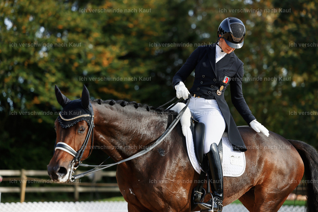 13-110-S___ -StoibPH-6955 | working equitationturnier fotograf videograf stoibphotography marixx film working equitation deutschland reitsport turnierfotografie eventfotografie equestrian events