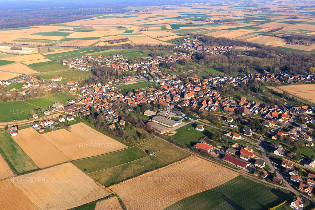 Vue aérienne: Vue de la ville depuis l'ouest à Riedseltz dans le département Bas Rhin, France – .Photo: IMG_130950.jpg prise le 22/03/2022 par Werner Riehm/FLY-FOTO.eu – Résolution de l'original: 5247 x 3498 px
