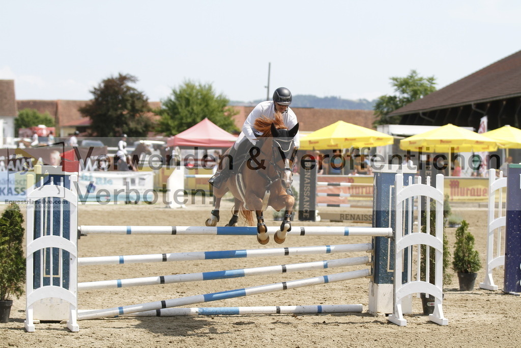 _MG_2791 | equestrian-live-com