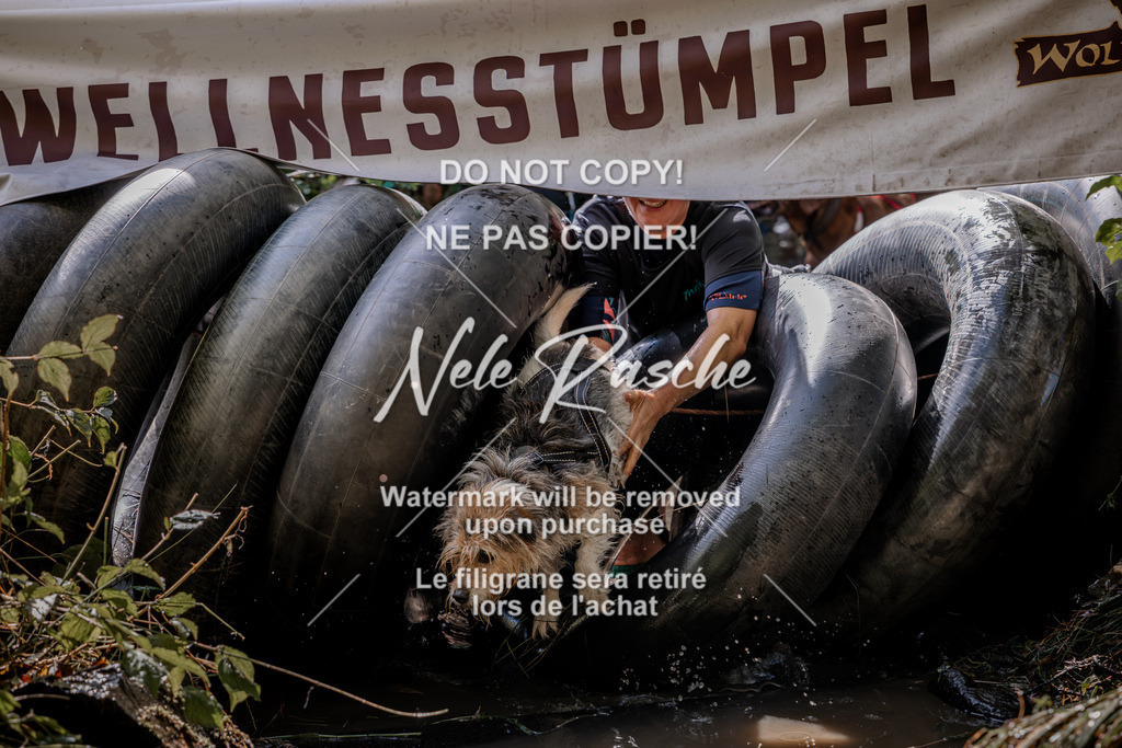 nelerasche_Hunsrück2026_Sa1400-1500_03 | nelerasche