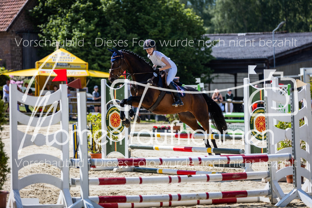 Donop24-ESpr-014 | MomenTaufnahmen Pferdesportfotos