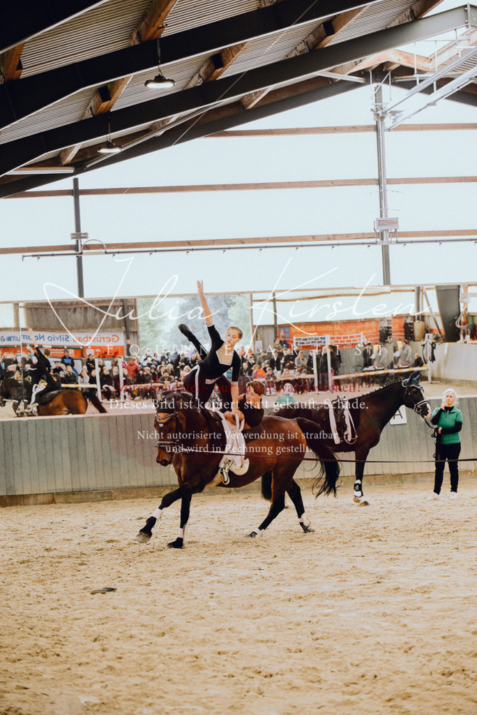 DSC_6922 | Pferde- und Turnierfotografie in Westsachsen. Pferdeportraits, Auftragszeichnungen und intuitive Kunst.
