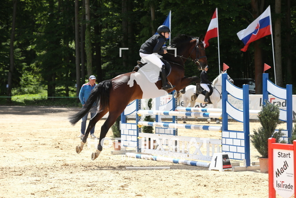 DL2Q1738 | Willkommen bei Brunnmayr - Design & Fotografie – Ihrem Spezialisten für Reitturniere und Pferdeveranstaltungen in Oberösterreich, Salzburg und Bayern! Seit über 17 Jahren sind wir leidenschaftlich dabei.