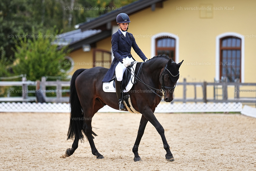 11-123-Dressur S___-Marixx-1532 | working equitationturnier fotograf videograf stoibphotography marixx film working equitation deutschland reitsport turnierfotografie eventfotografie equestrian events
